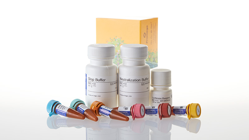 guligula様確認用 Glucose Uptake-Glo™ Assay | Glucose Uptake Assay Kit