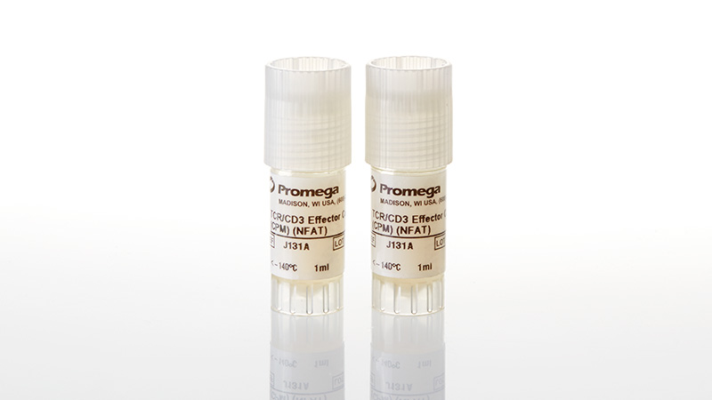 T cell activation bioassay