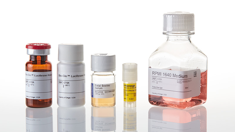 T cell activation bioassay