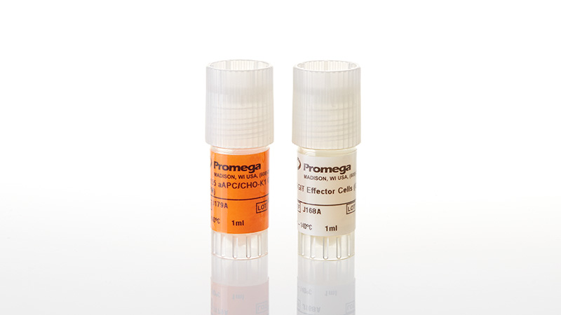 J2092_TIGIT-CD155-Blockade-Bioassay--Propagation-Model_3