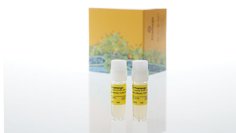 J2172_OX40-Effector-Cells--CPM-_3