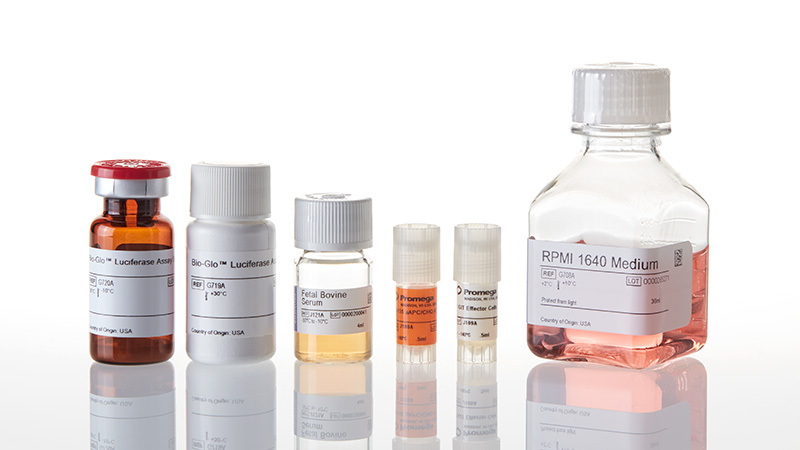tigit-cd155-blockade-bioassay