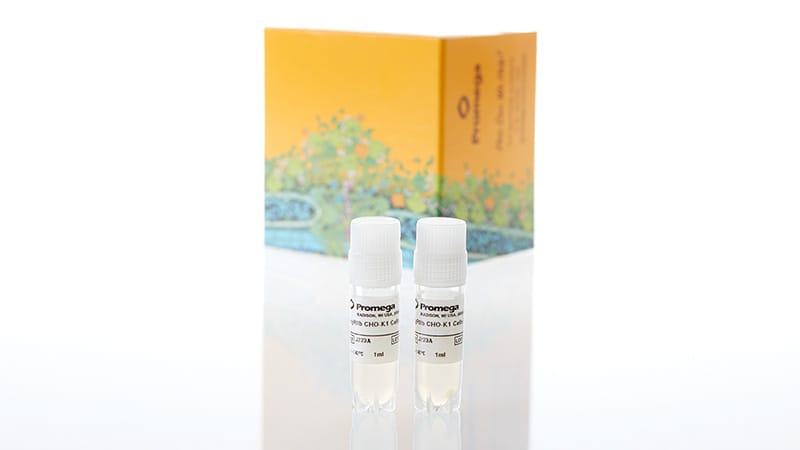 J2232_FcgRIIb-CHO-K1-Cells--Propagation-Model_3