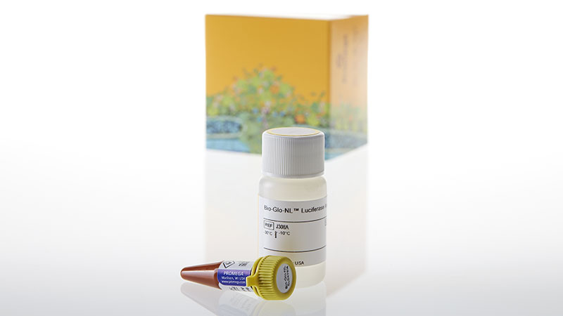 ERPR-Love様 確認用 Bio-Glo-NL™ Luciferase Assay System