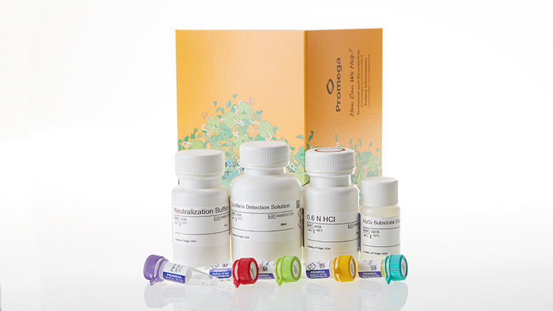 j4052-pyruvate-glo-assay-50-ml