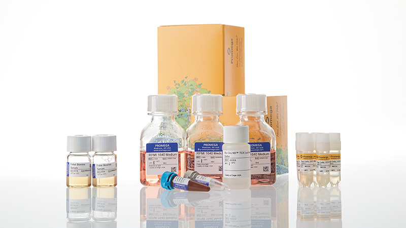 ja1255-raji-ht-hibit-cd19-ko-tck-bioassay-5x