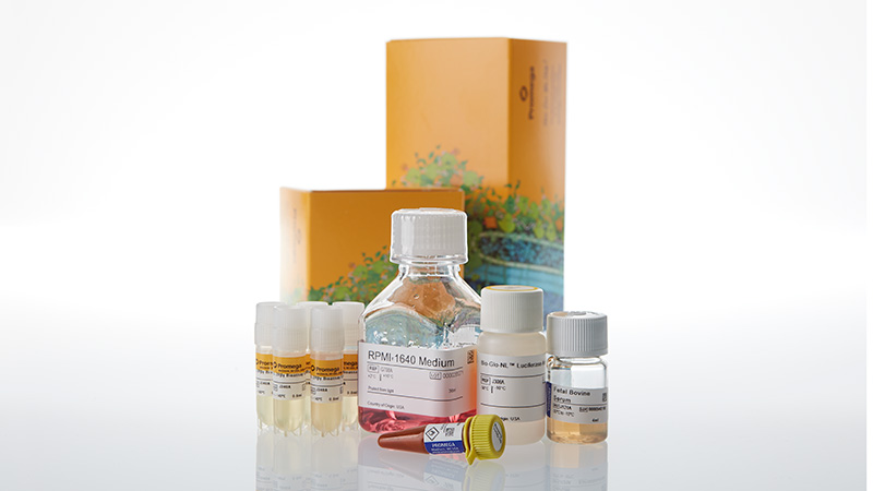 ja5105-il-2rbg-bioassay-5x