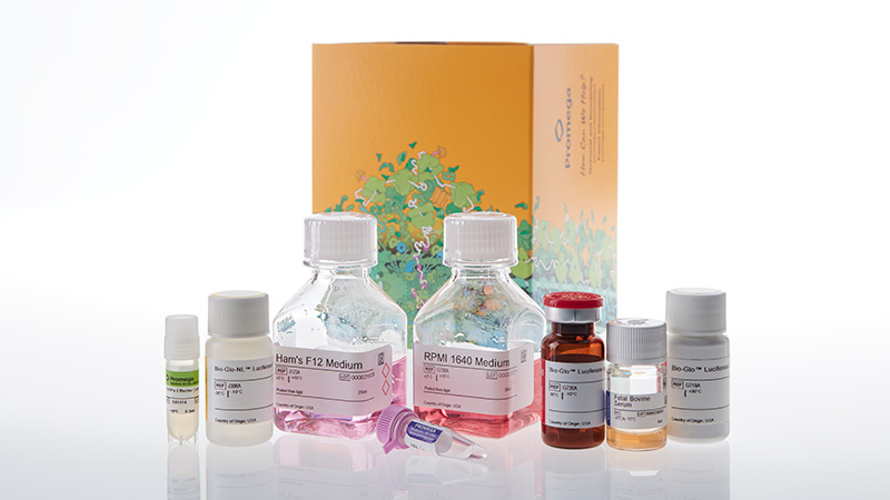 SIRPα/CD47 Blockade Bioassay SIRPα/CD47 Blockade Bioassay