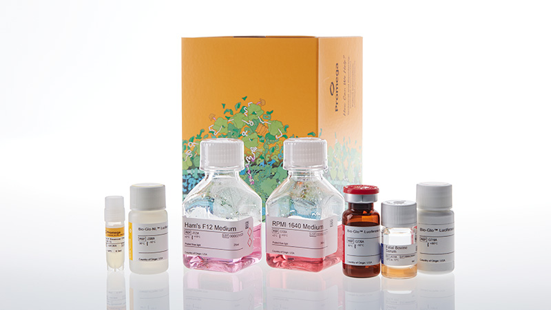 ADCP Reporter Bioassay (THP-1)