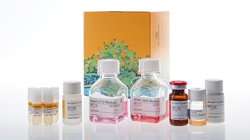 ADCP Reporter Bioassay (THP-1)