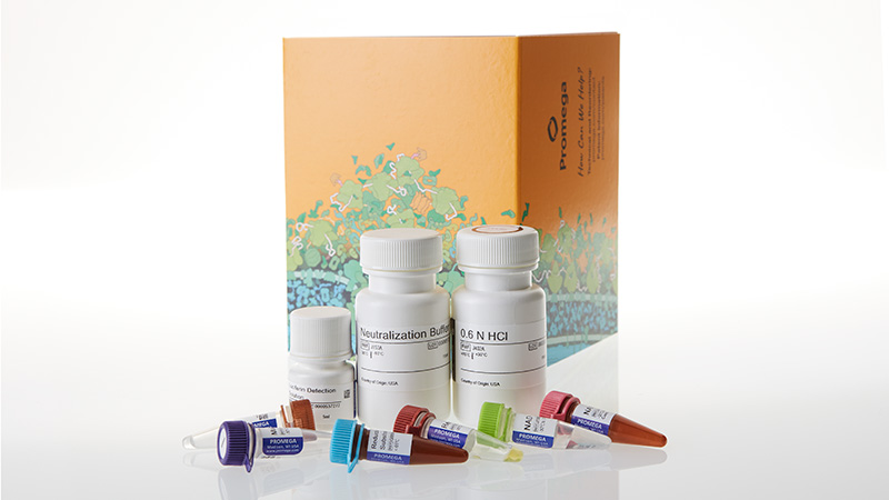 je9100-malate-glo-assay-5-ml