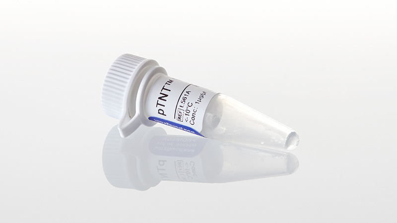 pCMVTNT™ and pTNT™ Vectors