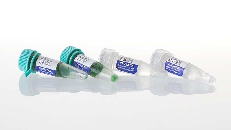 GoTaq® G2 Hot Start Master Mix | PCR Amplification Kit | Hot Start