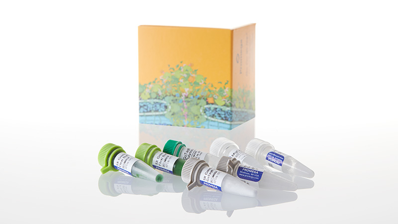 GoTaq® PCR Core System