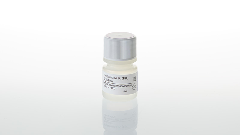 Proteinase K (PK) Solution