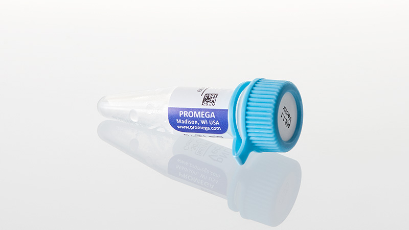NanoLuc® Stability Sensors for Cell Signaling