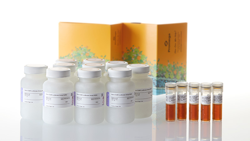 Nano-Glo® Luciferase Assay System
