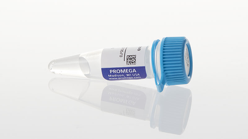 Minimal Promoter-Driven NanoLuc® Genetic Reporter Vectors