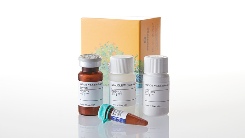 Nano-Glo® Dual-Luciferase® Reporter Assay System | Next-Gen Dual