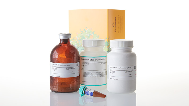 Nano-Glo® Dual-Luciferase® Reporter Assay System | Next-Gen Dual