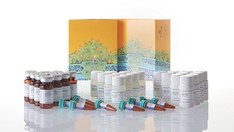 Nano-Glo® Dual-Luciferase® Reporter Assay System | Next-Gen Dual