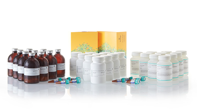 Nano-Glo® Dual-Luciferase® Reporter Assay System | Next-Gen Dual