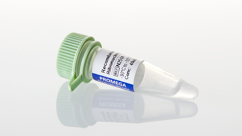 RNAです☆ RNasin® Ribonuclease Inhibitor