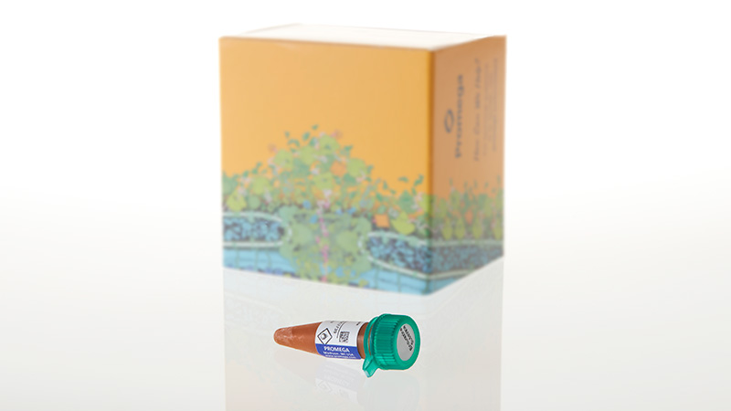 Nano-Glo Extended Live Cell Substrates