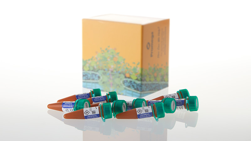 Nano-Glo Extended Live Cell Substrates