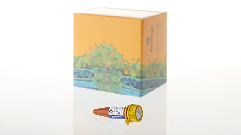 Nano-Glo Extended Live Cell Substrates