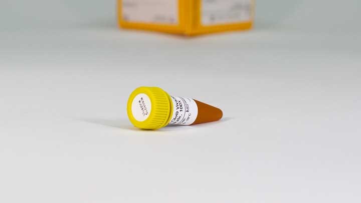 Nano-Glo Extended Live Cell Substrates