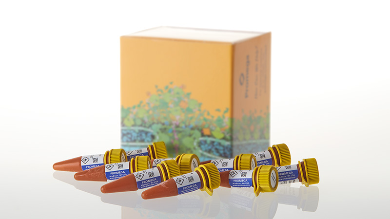 Nano-Glo Extended Live Cell Substrates