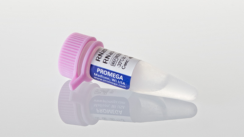 RNasin® Plus Ribonuclease Inhibitor | Heat Stable RNase Inhibitor