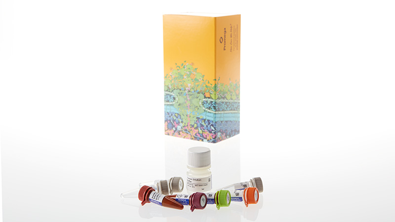 NanoBRET® TE Intracellular E3 Ligase Assays