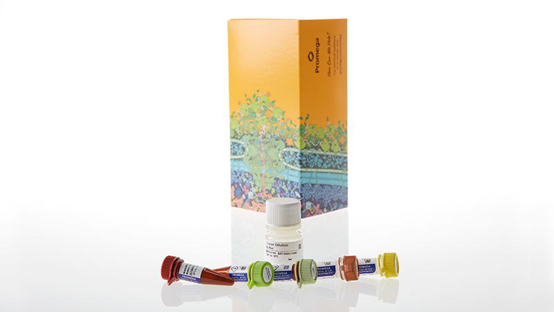 N2931_NanoBRET--TE-Intracellular-E3-Ligase-Assay--VHL_3