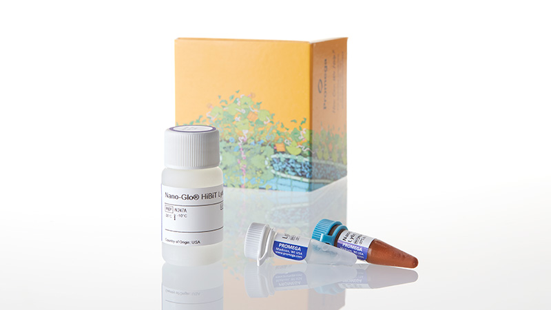hdyk35です！ Nano Glo HiBiT Lytic Detection System
