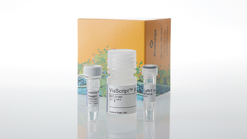 ne1130-viascript-mrna-delivery-system-10-plates