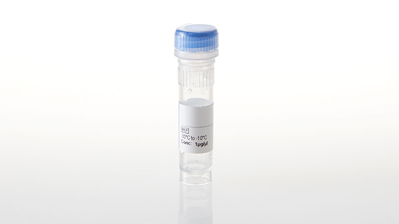 NV3921_NanoLuc--PIK3CA-E542K- Fusion Vector- 20ug