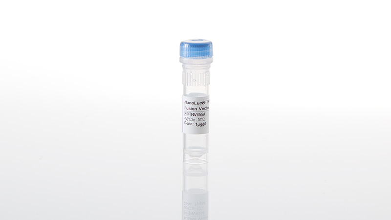 nv4551-nanoluc-tnk2-iso1-fusion-vector