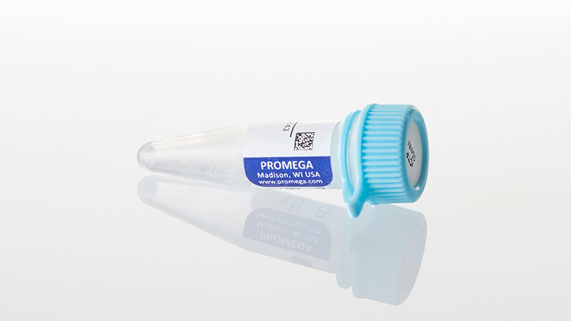 Ribonucleotide Triphosphates (rNTPs)