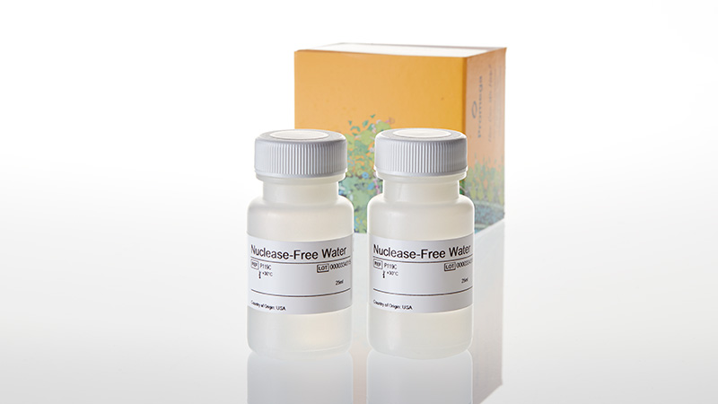 専用ページ　確認用 Nuclease-Free Water