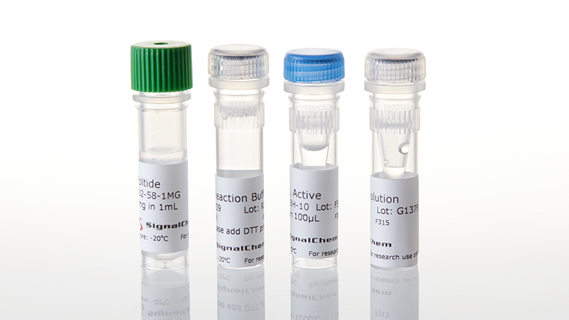 V1901_ABL1-Kinase-Enzyme-System