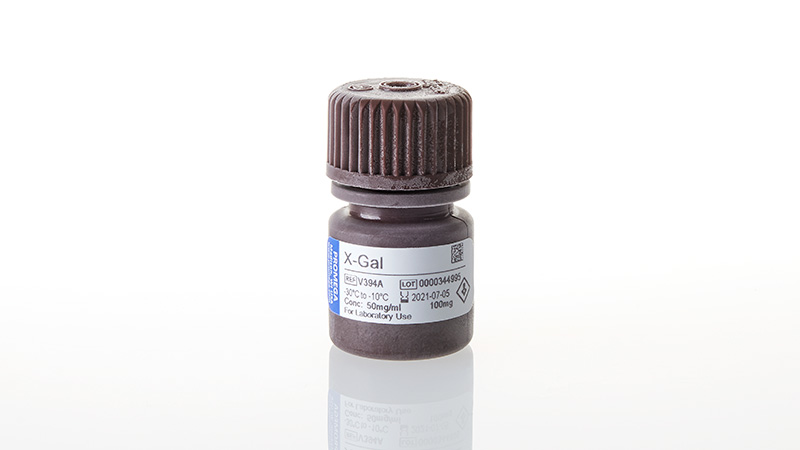 X-Gal (5-bromo-4-chloro-3-indolyl-beta-D-galactopyranoside)