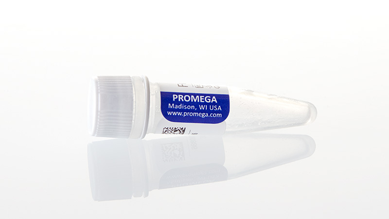 V4961_Fetuin--500ug_3