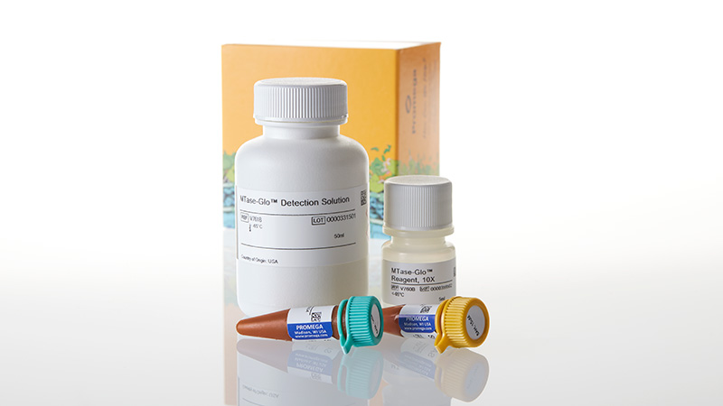 guligula様確認用 MTase-Glo™ Methyltransferase Assay