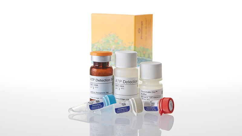 Succinate-Glo™ JmjC Demethylase/Hydroxylase Assay