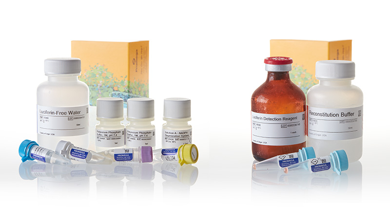 V9910_P450-Glo-CYP3A4