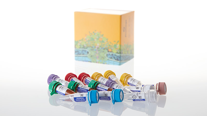 メグメグページ AccuMAP® Low pH Protein Digestion Kit