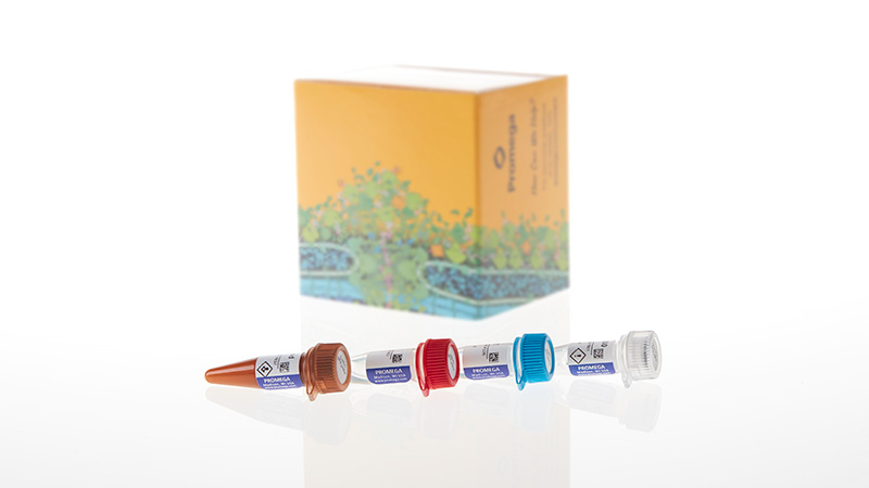 VB2500_Lumit--Immunoassay-Labeling-Kit_3