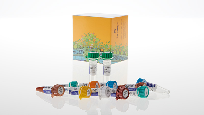 W1220_Lumit--Immunoassay-Cellular-System---Starter-Kit--200-assays_3